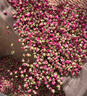 贡苑特级玫瑰花茶200g【绿色食品】平阴重瓣大朵胎玫瑰无硫花草养生茶 实拍图