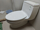 科勒普通连体马桶【一价全包】嘉珀莉五级旋风坐便器26092T 305坑距 实拍图