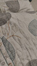 SEEDBALL公共洗衣机消毒片次氯酸钠泡腾片洗地机拖地母婴衣物游泳池消毒液 实拍图