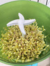 佰好佳【四季可发】豆芽机全自动家用多功能发黄绿豆芽神器三层增压水循坏洒水微电脑智能定时发豆芽机器 全自动豆芽机【三层大容量+遮光 实拍图