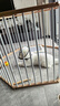 欢宠网伊丽莎白圈猫宠物狗猫咪狗狗绝育软项圈头套脖套防舔防咬脖圈耻辱 实拍图