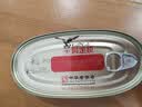 鹰金钱豆豉鲮鱼罐头227g*10罐 熟食鱼干 旅行方便食品 香辣即食下饭菜 鹰金钱金奖豆豉鲮鱼227g 实拍图