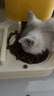 靓贝猫粮 幼猫成猫全阶段猫粮 英短美短加菲猫 牛肉三文鱼猫粮500g*5 实拍图