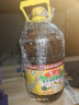 鲁花 【保真菜籽油】食用油 低芥酸特香菜籽油 6.18L   物理压榨 实拍图