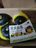 京鲜生 云南高山贝贝南瓜 净4.5斤(粉糯瓜) 中果300g+辅食 源头直发 实拍图