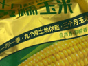 十月稻田 黄甜糯玉米 1.76kg+黑糯玉米1.76kg 早餐粗粮 实拍图