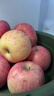 京鲜生山东烟台红富士苹果 净重10斤装单果80-85mm 生鲜水果 源头直发 实拍图
