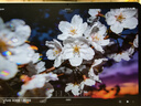 vivo Pad5 柔光版 12GB+256GB 展蓝图 国家补贴15% 蓝晶×天玑9300+ 12.1英寸高亮护眼屏 平板电脑 实拍图