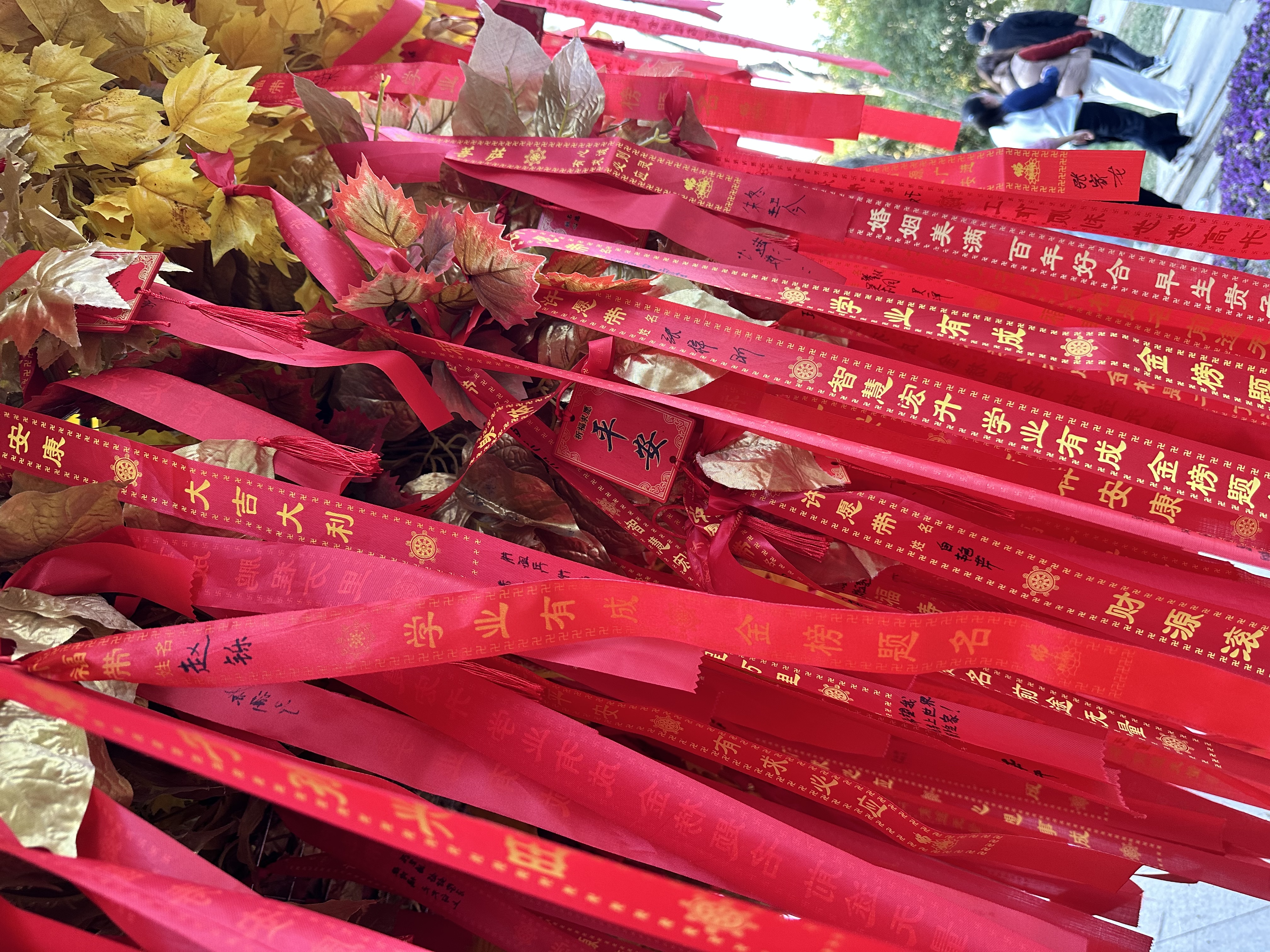 EVERVON旗下乐士羽毛球拍双拍休闲娱乐情侣对拍附拍包和球（京东仓发货） 实拍图
