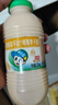 李子园【成毅代言】甜牛奶饮品低脂低糖哈密瓜奶225ml*20瓶整箱营养早餐 实拍图