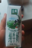伊利金典3.8g乳蛋白有机全脂纯奶250ml*10盒新老包装随机 礼盒装 实拍图