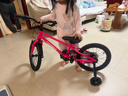 途锐达（TOPRIGHT）京东自营蜂鸟铝合金儿童自行车3-8岁女孩16寸粉六一儿童节礼物 实拍图