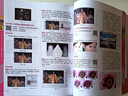 中文版Photoshop 2024从入门到精通（微课视频 全彩版）哪吒动画使用软件平面建模渲染书籍 ps图像后期处理 平面设计 UI设计 实拍图