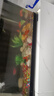 金鱼草金鱼观赏鱼冷水好养耐活小鱼苗锦鲤 2-4cm 红草金买3条送3条（加备损） 实拍图