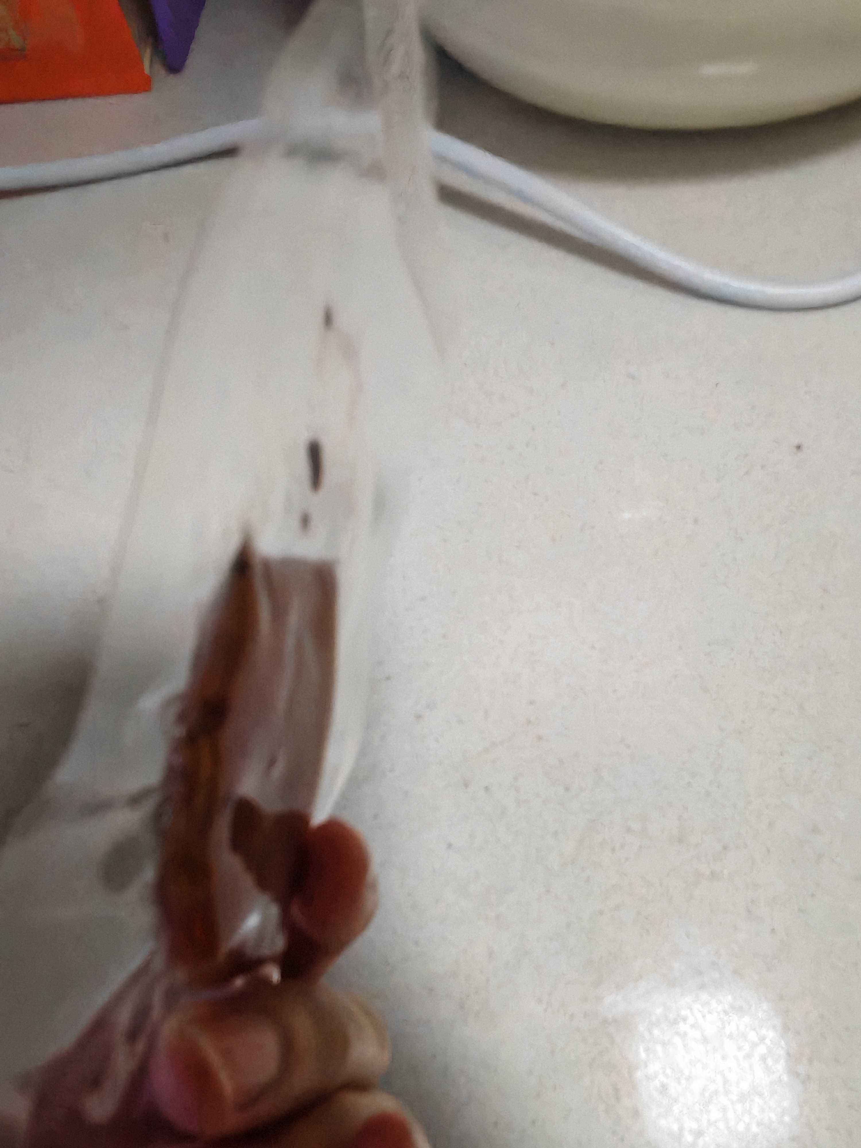 春江月舟山网红鱿鱼仔240g独立包装不带籽空心无填充物无添加墨鱼仔即食 空心鱿鱼仔80g*1包新品尝鲜 实拍图