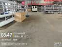雪贝娜冰柜商用大容量全冷冻家用双温卧式冷柜展示柜 1028单温【铜管一级能效】长2米 实拍图