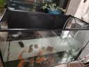 松宝（sobo）鱼缸过滤器内置三合一过滤增氧系统水族箱养鱼循环水泵氧气泵 15W 实拍图