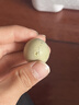 威振 孵化器全自动家用型芦丁鸡孵化机鸭鹅鸽孵化箱智能小型孵蛋器 9枚全自动双电【送加水瓶】 实拍图