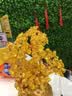 美卡瑞黄水晶发财树酒柜装饰品小摆件客厅电视柜招财摇钱树乔迁开业礼品 大号黄水晶发财树+送钱坠+底座+五帝钱 实拍图