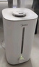美的（Midea）【大雾量】空气加湿器家用卧室静音除菌孕妇婴幼大容量办公室桌面小型鼻炎喷雾器女生礼物SC-3G40S 实拍图