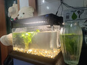 米家智能生态鱼缸定时喂食智能鱼缸+画法几何增氧泵套装 实拍图