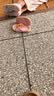 牧童儿童拖鞋夏男宝宝洞洞鞋软底女童卡通洗澡婴幼儿家居鞋萌兔粉160 实拍图