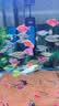 森森鱼缸变频加热棒适用300-400L离水断电水族箱加热器 ARK-800款800W 实拍图
