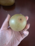 佳沛（zespri）新西兰 新果季 阳光金奇异果12粒特大果单果124-146g 猕猴桃 实拍图