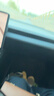 斐乐（FILA）学生手表初高中生男女机械石英公务员考试手表儿童手表6586-005 实拍图