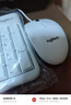 罗技（Logitech）MK120 键鼠套装 有线键鼠套装 办公键鼠套装 电脑键盘 USB即插即用 全尺寸 白色 实拍图