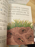 昆虫记注音版 法布尔著作 儿童文学 一二三年级课外阅读书必读世界经典文学少儿名著童话故事书 大语文系列 小学语文课外阅读经典丛书 万物复书 儿童节 实拍图