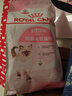 皇家幼猫猫粮 幼猫奶糕 K36 通用粮 4-12月 2KG 实拍图