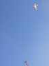 爸爸妈妈风筝儿童潍坊成人特大水母风筝轮盘线轮高档亲子户外玩具 实拍图