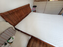 京东京造森呼吸乳胶床垫褥子1.8×2米榻榻米床垫打地铺睡垫厚3cm 实拍图