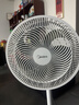 美的（Midea） 电风扇 家用风扇7叶落地扇立式轻音节能大风量电扇台扇迷你扇台立两用转页扇空气循环扇安静低音 店长推荐丨7叶劲风 百万单·SAF30AC 家用落地扇 实拍图