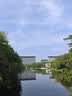 同仁堂品牌 北京同仁堂玛咖250克男性滋补玛咖干果片五宝茶泡水养生茶饮 实拍图
