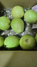 京觅福建软红心芭乐 番石榴 应季低糖净重4.5斤 单果150g  源头直发 实拍图