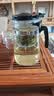 飘逸壶泡茶壶耐热高温玻璃沏茶过滤内胆冲茶器家用茶具套装 飘逸杯500mL1个 实拍图