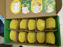 佳沛（zespri）新西兰阳光金果10个装单果重约103-114g 水果礼盒 猕猴桃 实拍图