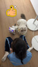 索迪六一礼物AI智能机器人遥控汽车机器狗猫婴幼儿童宝宝玩具女孩生日 实拍图