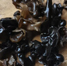 十月稻田 东北黑木耳 500g 干木耳 黑龙江东宁特产 肉厚无根 火锅煲汤炒菜 实拍图