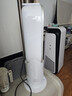 戴森（DYSON）AM15无叶凉暖风扇 凉暖两用 四季适用 家用 大风力凉风 噪音降低 全屋循环 实拍图