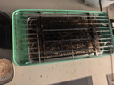 康佳（KONKA）电烧烤炉 烤肉锅电烤盘 家用无烟烤盘不粘电烤炉铁板烧烤串机烧烤炉烧烤架 KEG-W1506 实拍图