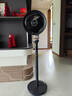 艾美特（AIRMATE）【旗舰金天鹅】空气循环扇语音智能遥控电风扇直流变频家用安静轻音一级能效落地扇负离子净化电扇 实拍图