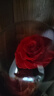 JoyFlower永生花礼盒玫瑰花生日礼物结婚纪念日高级毕业送女生朋友老师实用 实拍图