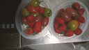 蓝力鲸果蔬清洗机食材净化机家用洗菜神器全自动智能净化器净菜宝 【升级款森氧绿】双核电解+变频电机+5档智控 实拍图