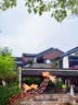 真拉（Zhen La）正宗新疆大盘鸡面800g*1袋拉面裤带面手工挂宽面早餐面条 实拍图