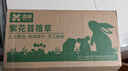 喜帅烘干紫花苜蓿草 幼兔兔粮牧草干草龙猫荷兰猪磨牙饲料净重750g 实拍图