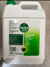 滴露（Dettol）消毒液5L大桶装消毒水家用商用工业车间酒店物业衣物环境消毒杀菌 实拍图