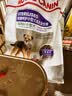 皇家狗粮 绝育成犬狗粮 犬粮宠物小型犬MSA30全价犬粮≥10月6.5KG 实拍图